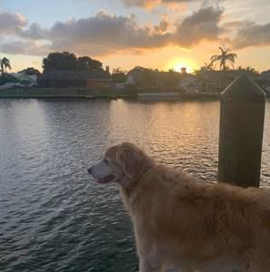 Meet your Posher, Dianne